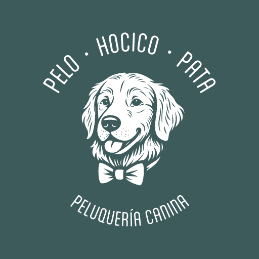 Peluquería ca  nina profesional - Mascota siendo atendida con cuidado y amor